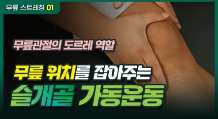 240913_megacarti_스트레칭 챌린지_슬개골 가동운동_썸네일.jpg